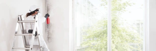 Best Biohazard Mold Removal  in Cottonwood, AZ