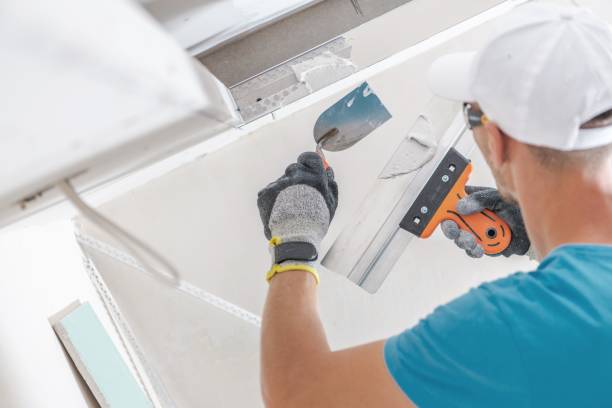 Best Industrial Mold Remediation  in Cottonwood, AZ